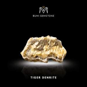 Tiger Denrite