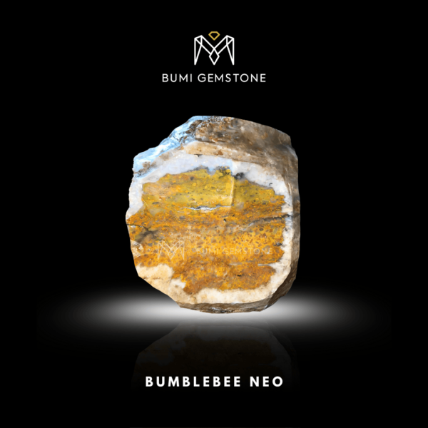 Bumblebee Neo