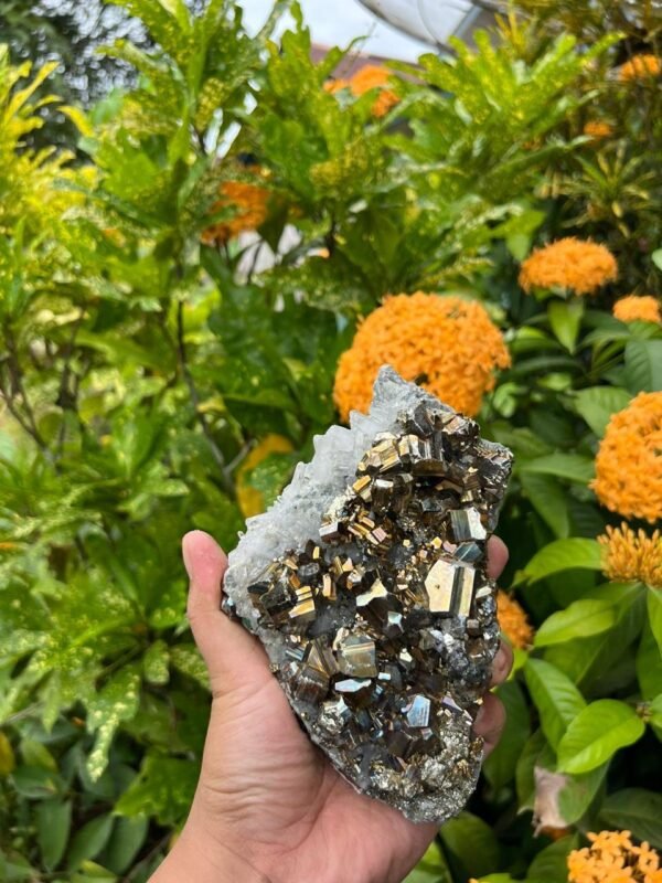 Pyrite Quartz - Image 3