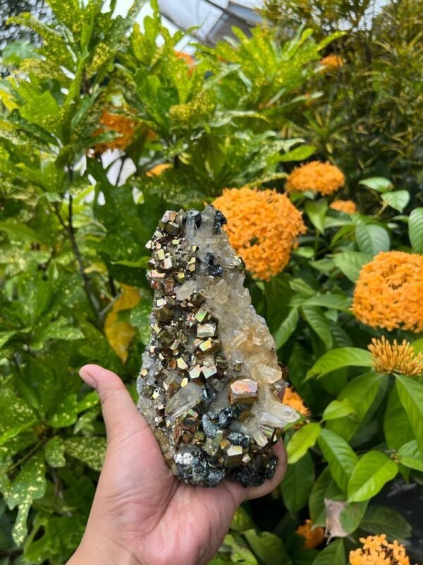 Pyrite Quartz