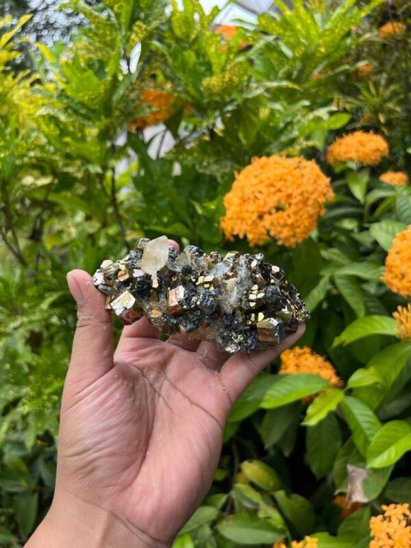Pyrite Quartz - Image 6